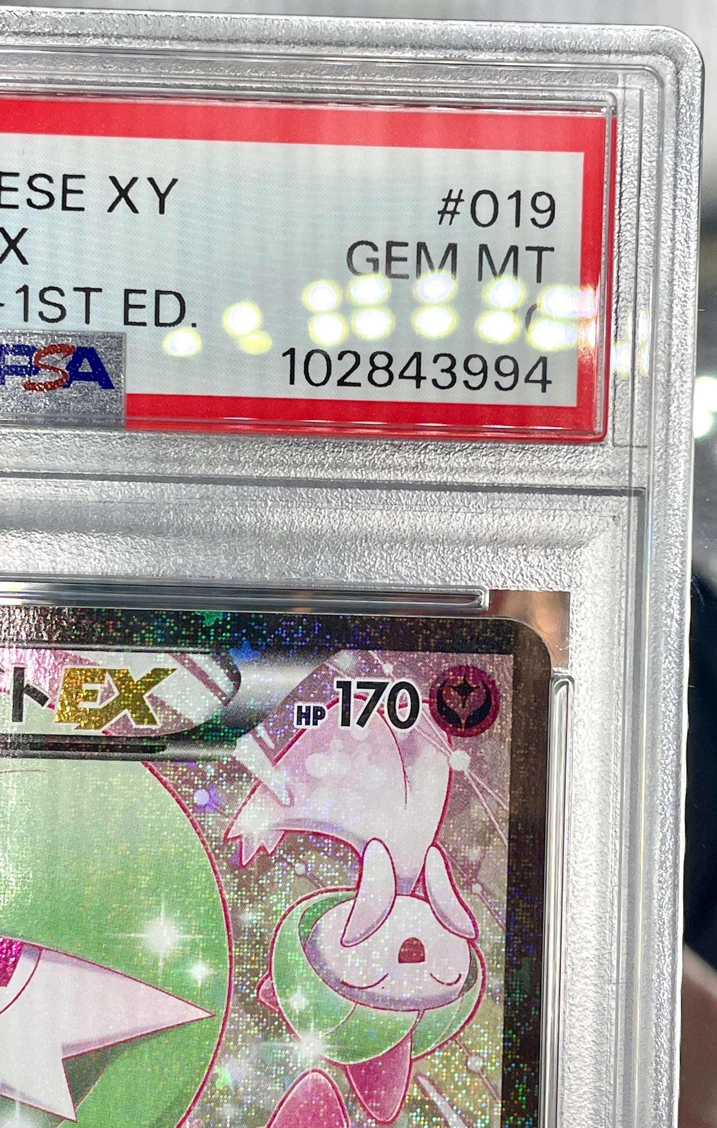 PSA 10 POKEMON JAPANESE GARDEVOIR EX 019/032