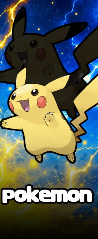 POKEMON BOX