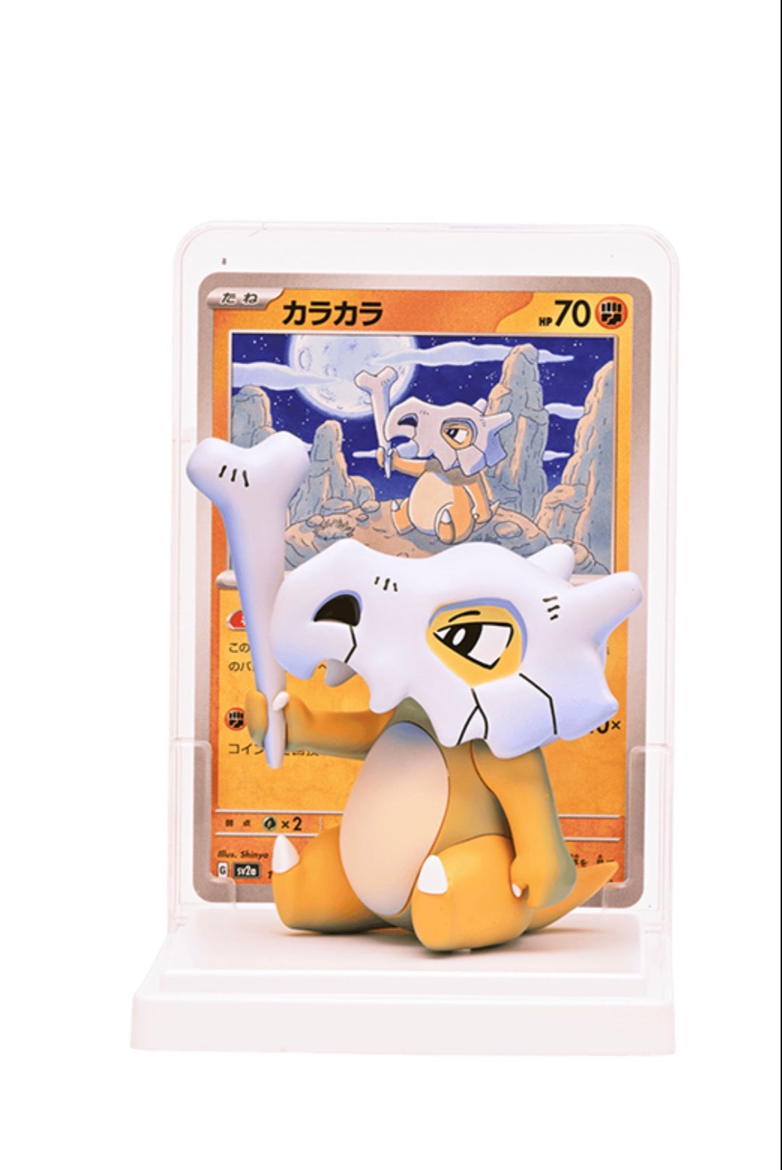【 pre-order 】Pokemon Figure Collection