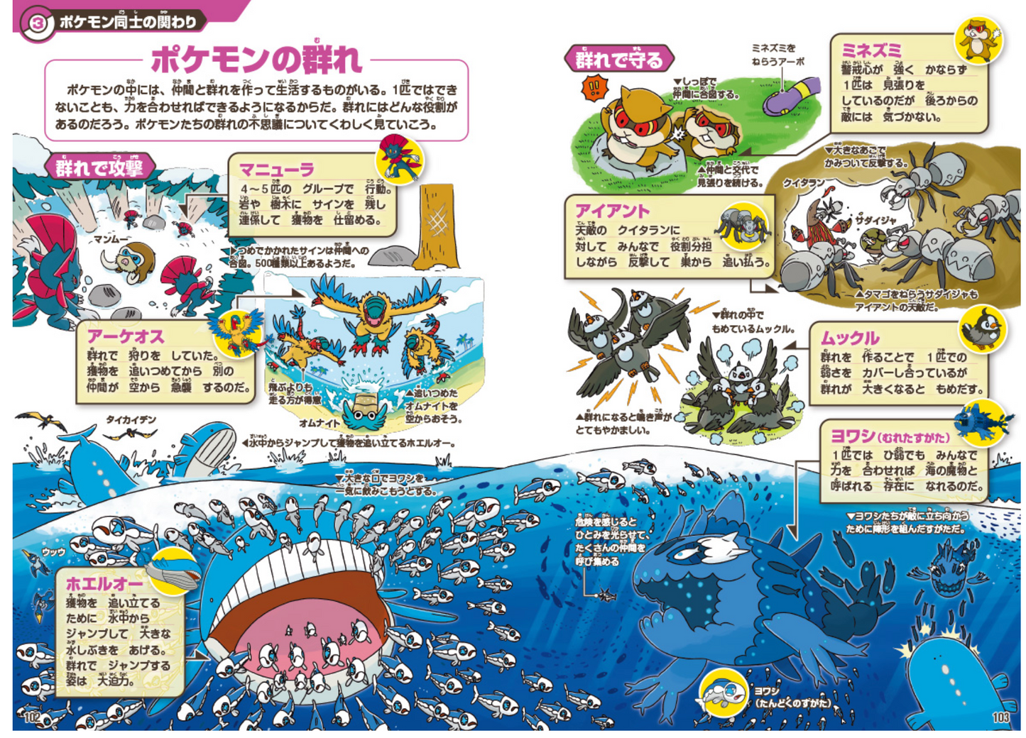 PSL Pokecology Pokemon Ecology Encyclopedia Artbook Japanese 2025