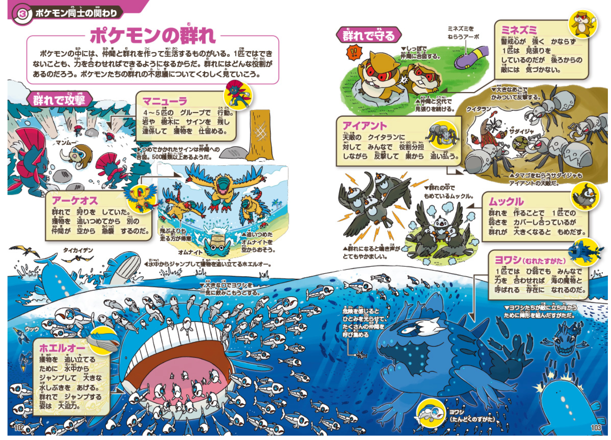 Pokecology Pokemon Ecology Encyclopedia Artbook Japanese 2025