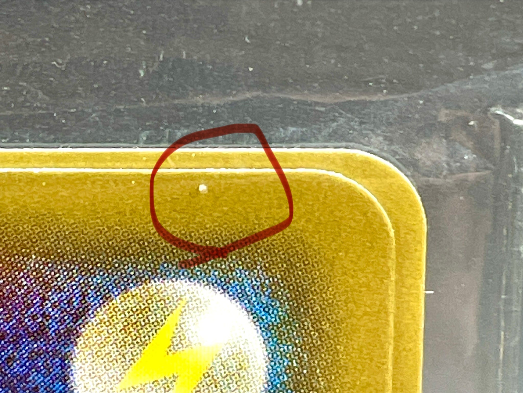 Pokemon card Pikachu227/S-P & Cramorant 226/S-P Stamp Box