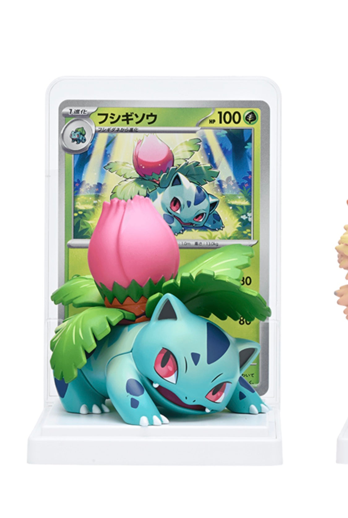 【 pre-order 】Pokemon Figure Collection