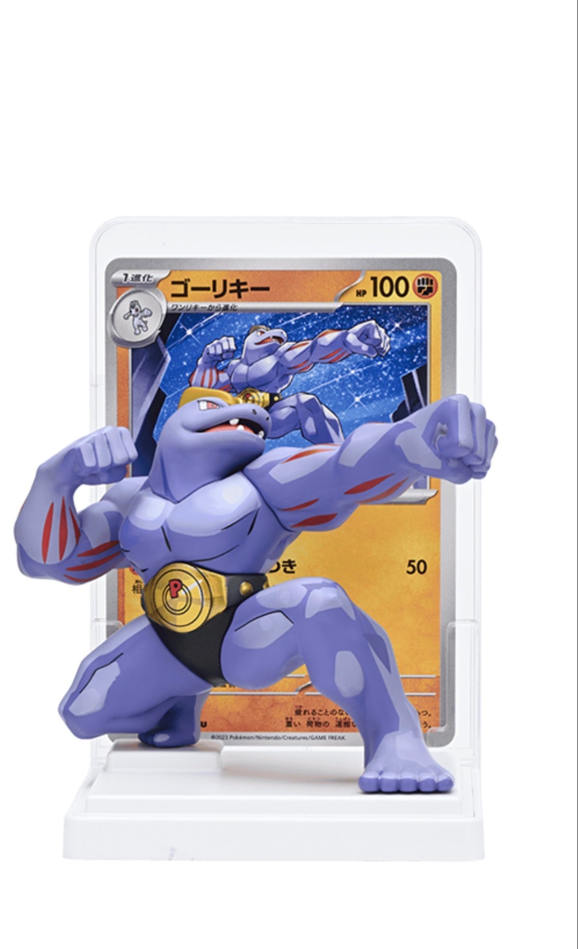 Pokemon Figure Collection