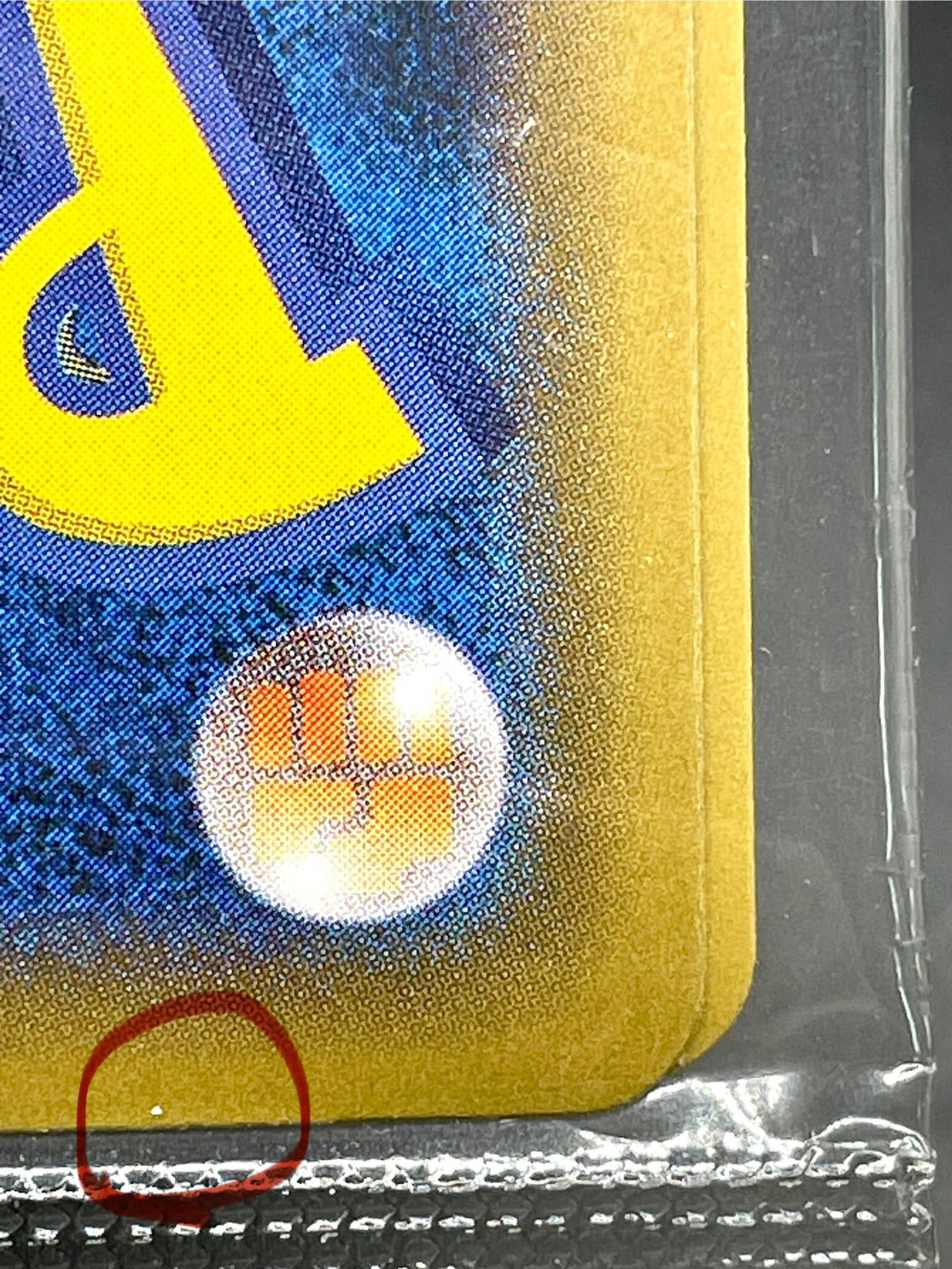 Pokemon card Pikachu227/S-P & Cramorant 226/S-P Stamp Box