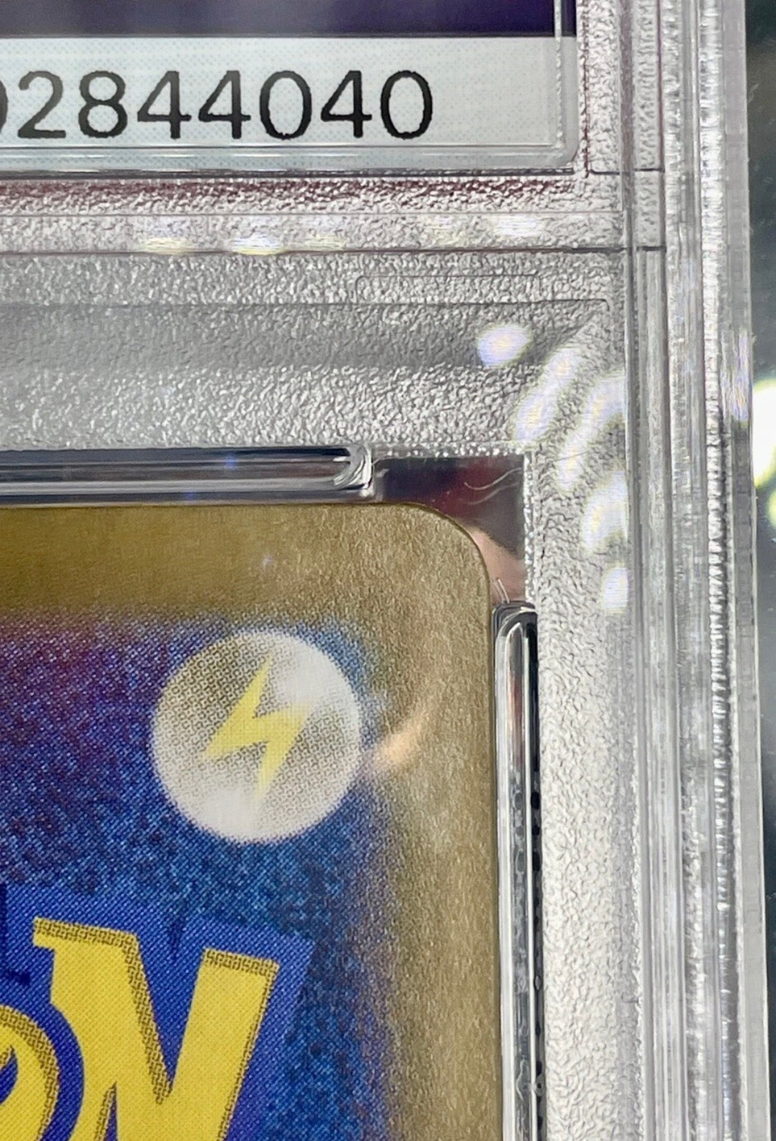 PSA 10 POKEMON PIKACHU EX SAR