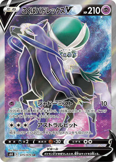 {075/070}Black Horse Budrex V SR | Japanese Pokemon Single Card